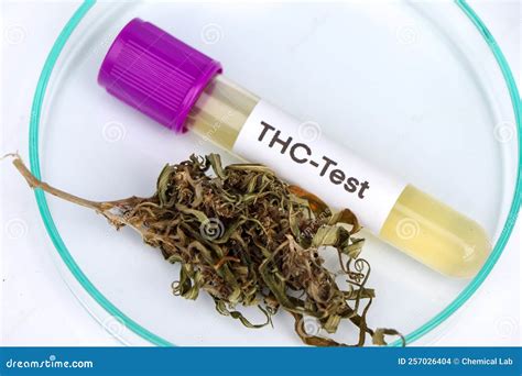 do eye drops change a urine test for thc|how to read thc in urine.